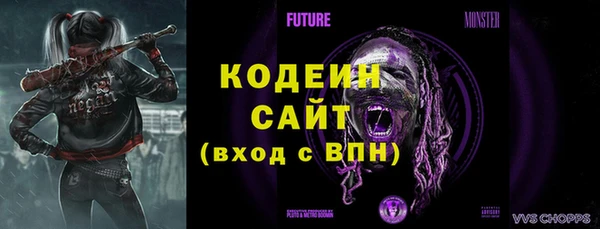 метадон Гусь-Хрустальный