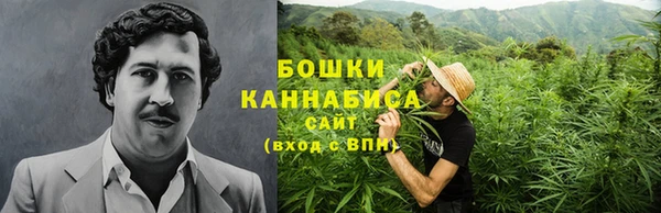 метадон Гусь-Хрустальный
